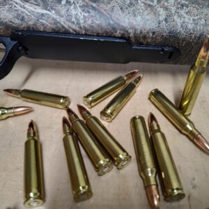 Sweets Shots Ammunition Solutions